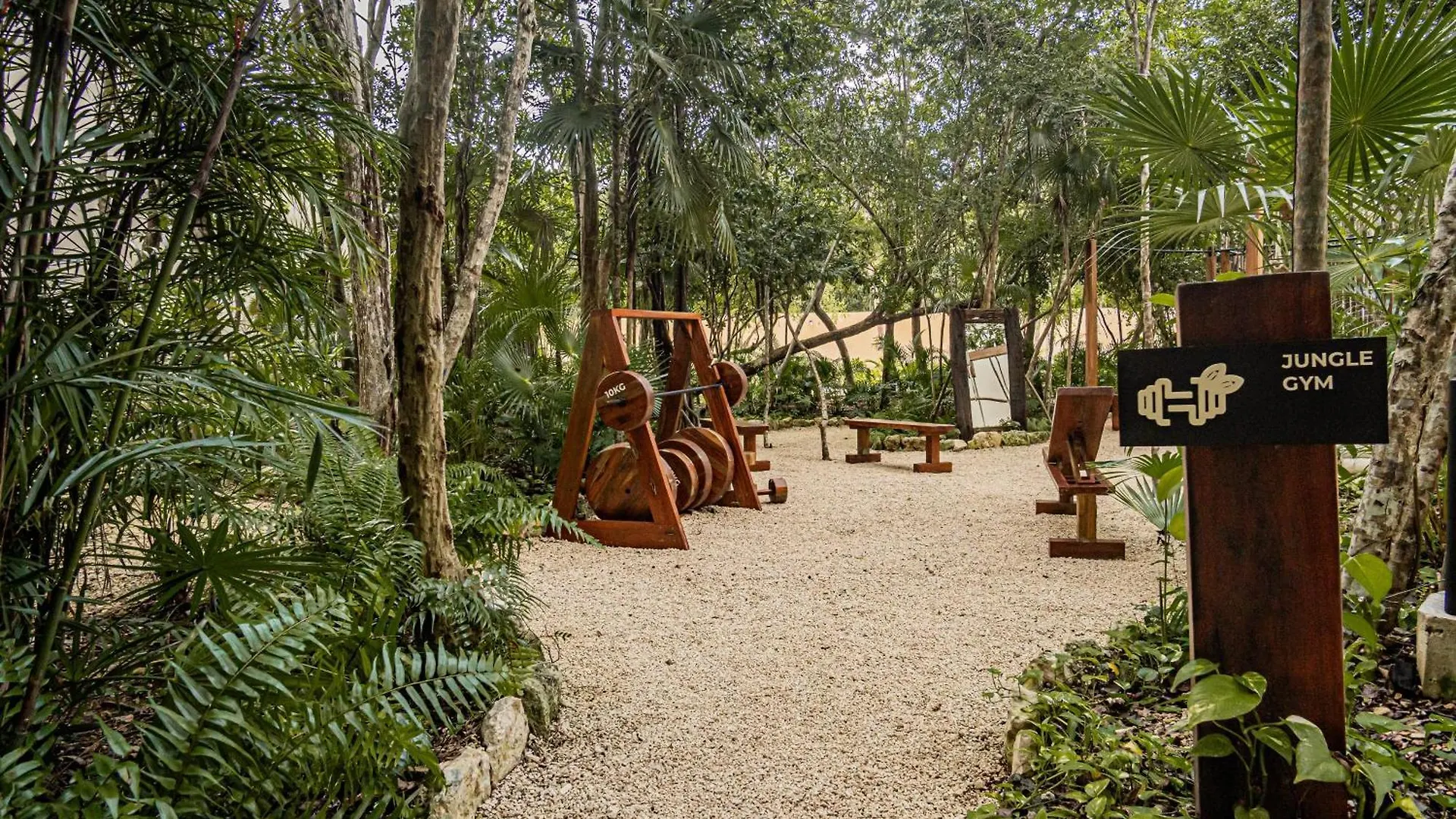 Downtown Delight -Roof With Pool & Bbq & Jungle Gym Apartment Tulum Mexico