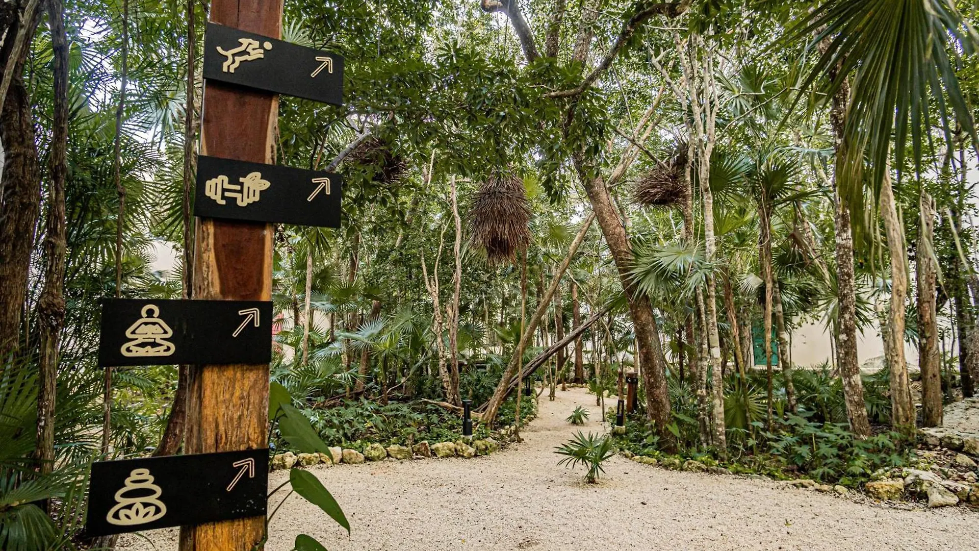 Downtown Delight -Roof With Pool & Bbq & Jungle Gym Apartment Tulum