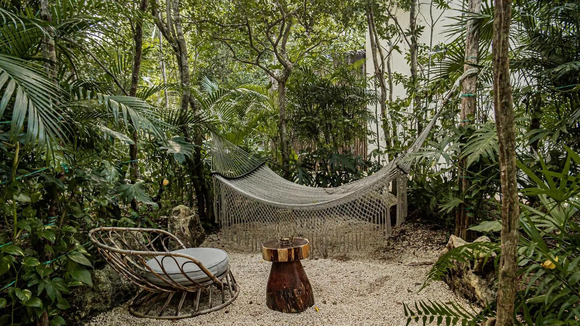 Downtown Delight -Roof With Pool & Bbq & Jungle Gym Apartment Tulum