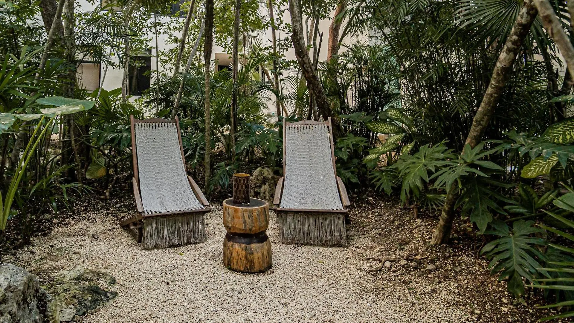 Downtown Delight -Roof With Pool & Bbq & Jungle Gym Apartment Tulum Mexico