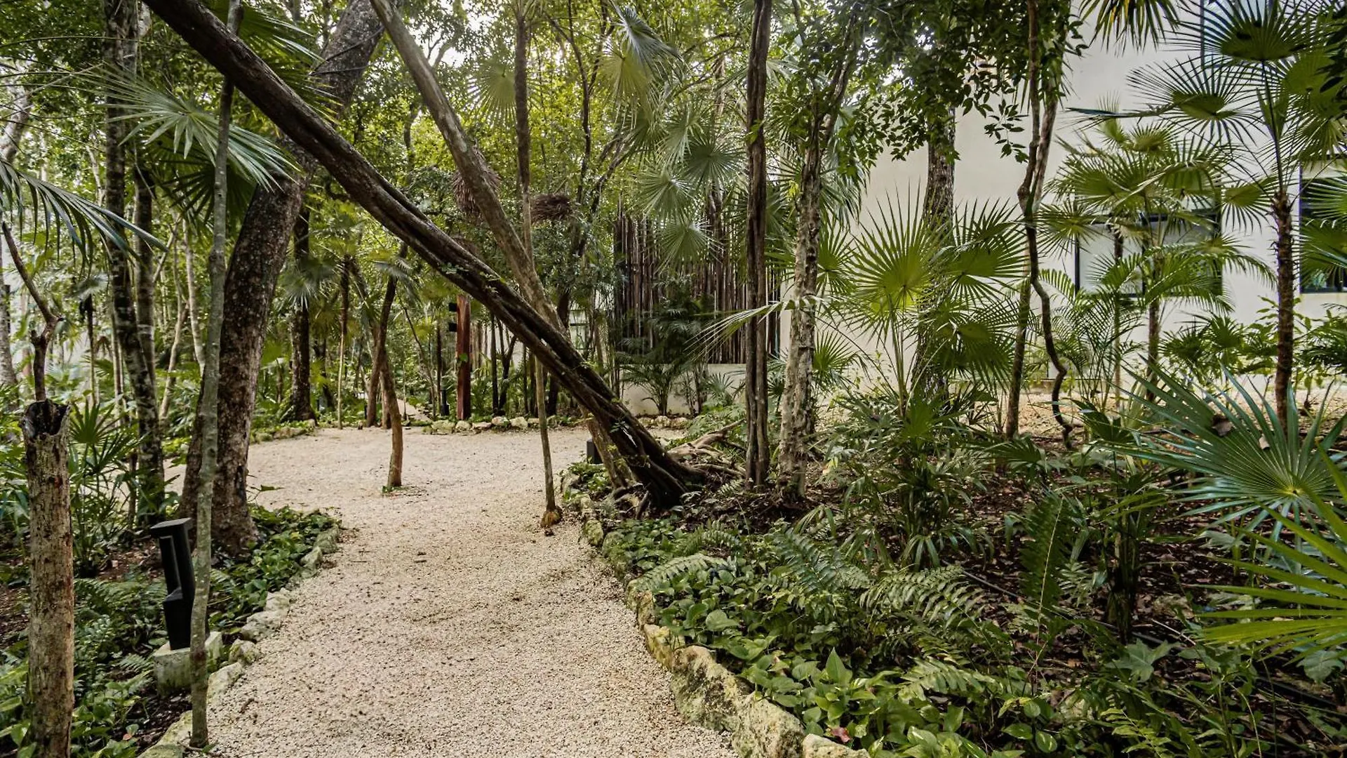 Downtown Delight -Roof With Pool & Bbq & Jungle Gym Apartment Tulum